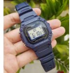 w-218h-2a-4293-8aa0-d32a081deb1b